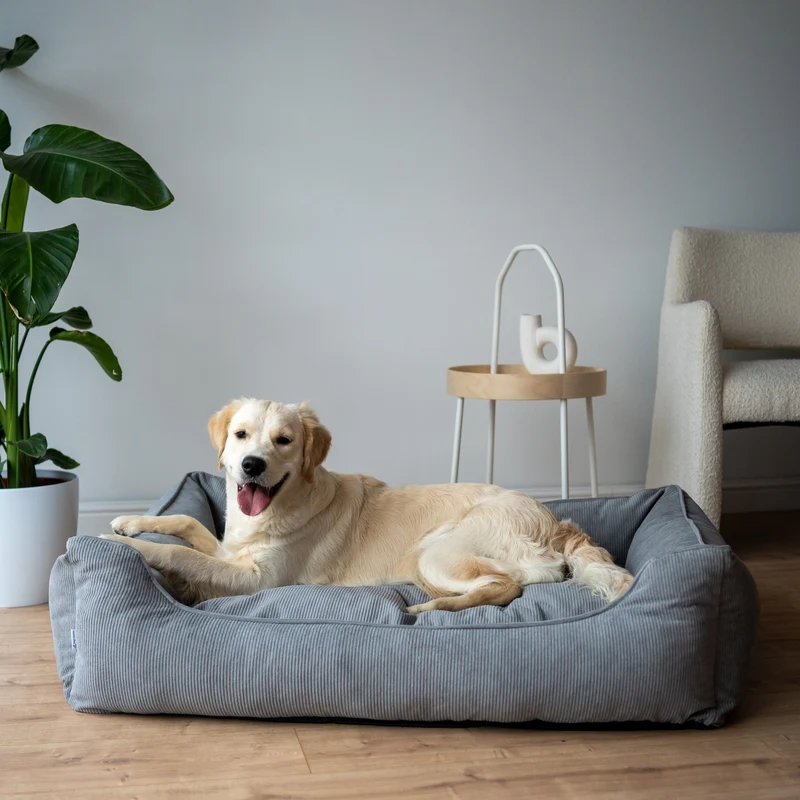 Orthopädisches Hundebett COMFY - Größe L