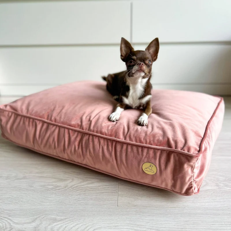 Orthopädische Samt-Hundematratze Größe S