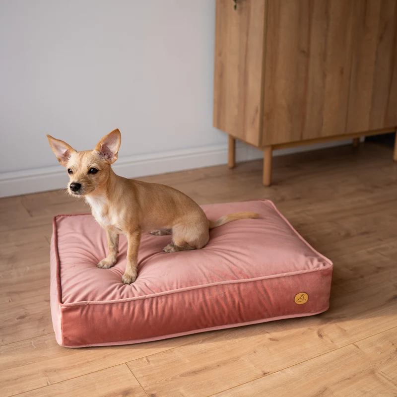 Orthopädische Samt-Hundematratze Größe S