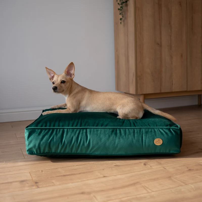 Orthopädische Samt-Hundematratze Größe S