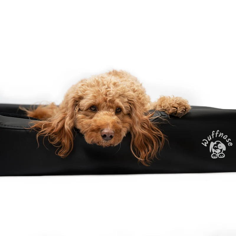 Pfotenruhe Hundebett + Anti-Haar Decke Ella – Schwarz/Grün