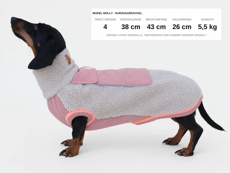 Sport Racer Sherpa Pullover