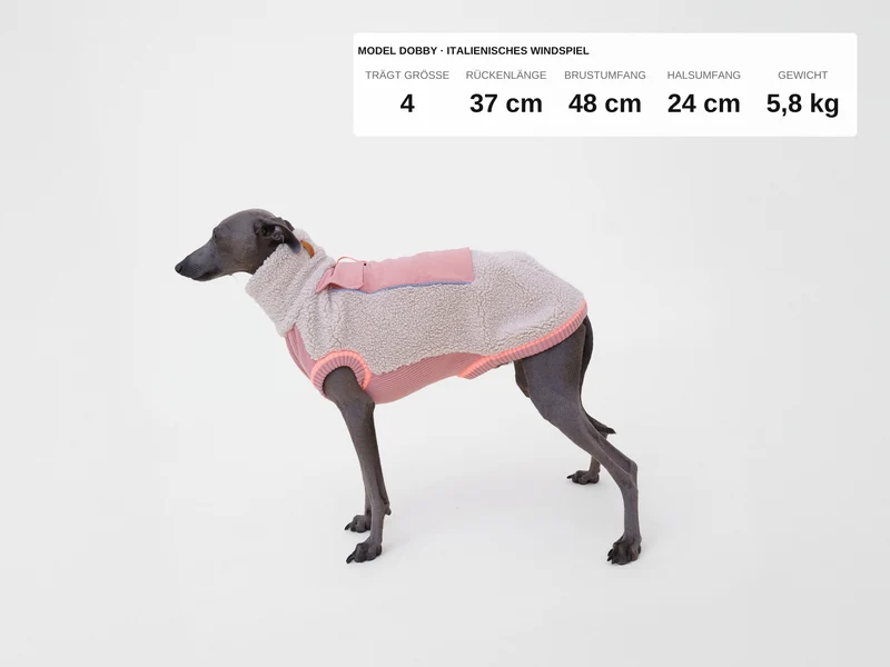 Sport Racer Sherpa Pullover
