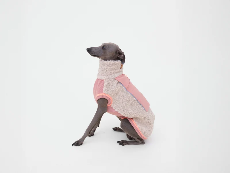 Sport Racer Sherpa Pullover