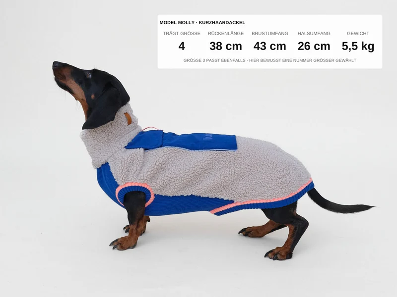 Sport Racer Sherpa Pullover