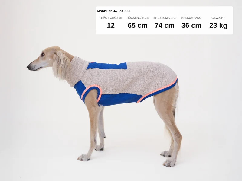 Sport Racer Sherpa Pullover