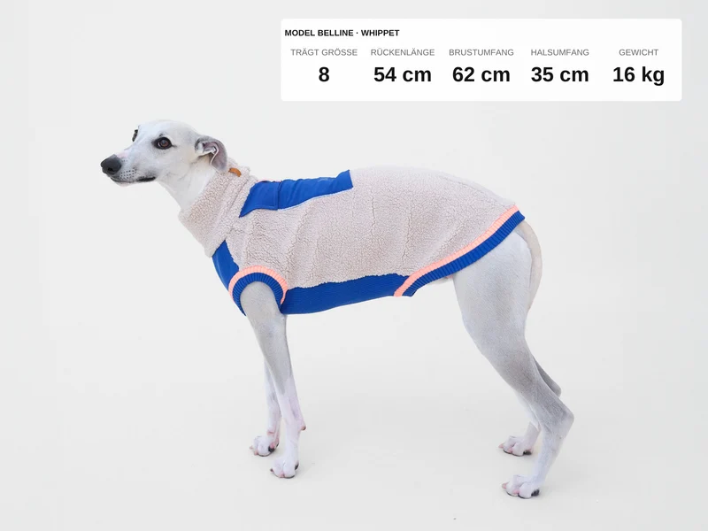 Sport Racer Sherpa Pullover