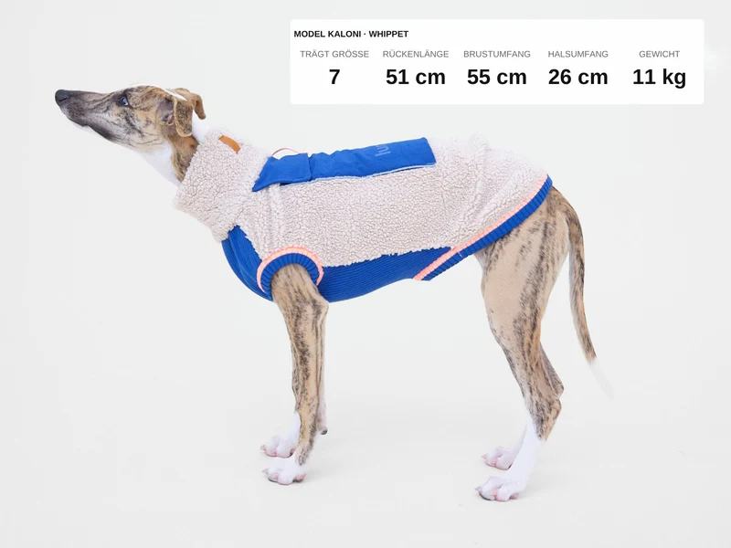 Sport Racer Sherpa Pullover