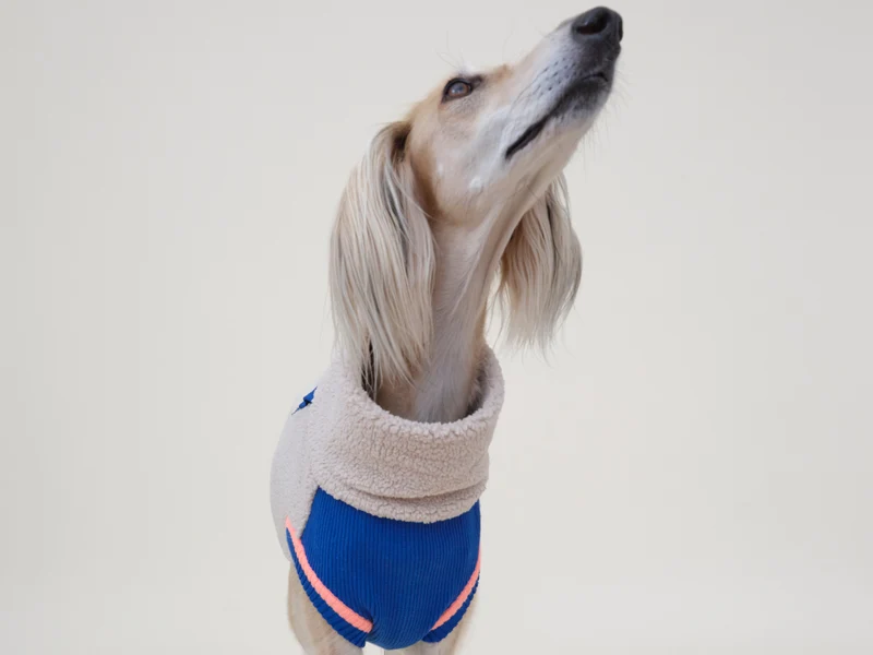 Sport Racer Sherpa Pullover