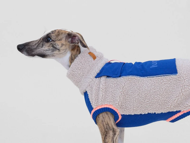 Sport Racer Sherpa Pullover