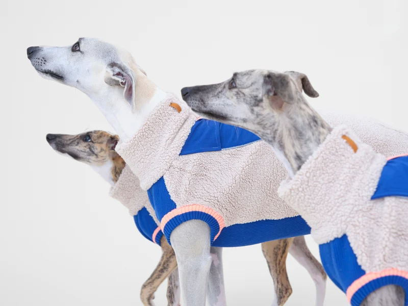Sport Racer Sherpa Pullover