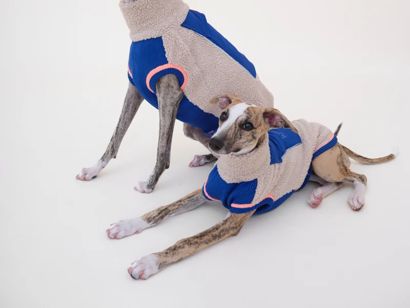 Sport Racer Sherpa Pullover