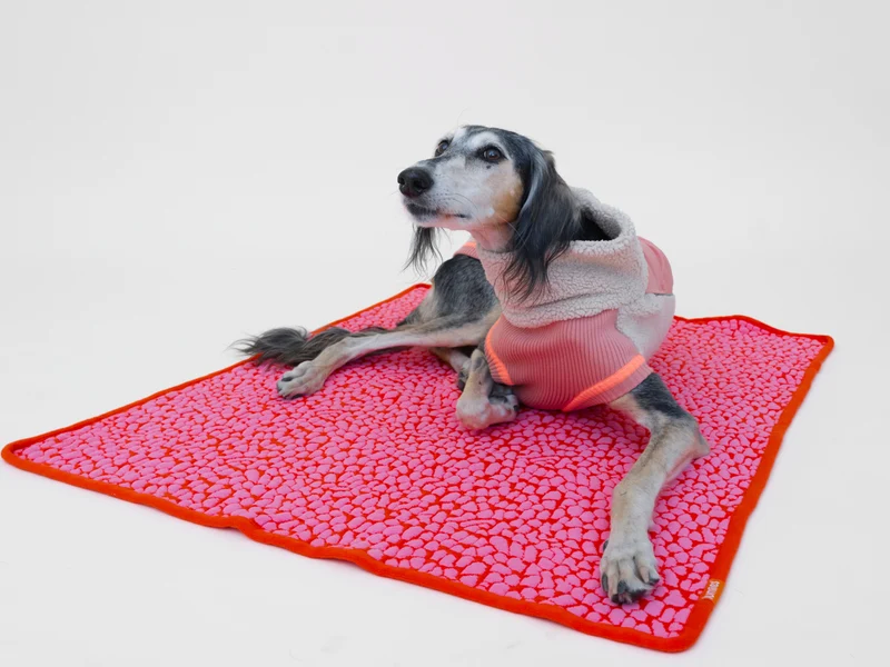 Studio Blanket Hundedecke