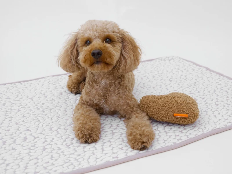 Studio Blanket Hundedecke
