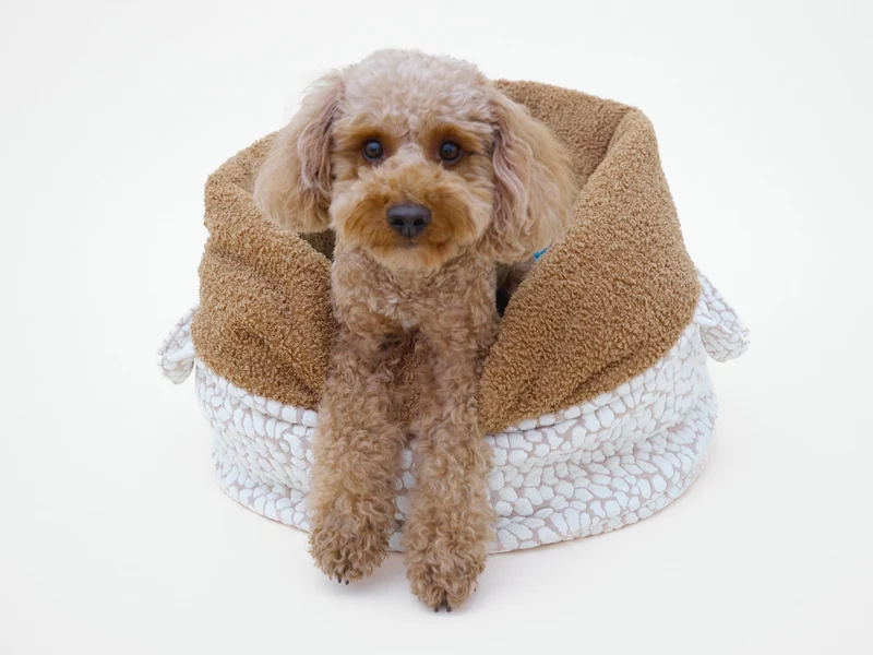 Studio Nest Schlafsack