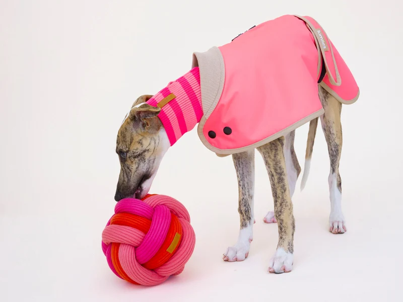 Twisty Ball Schnüffelball