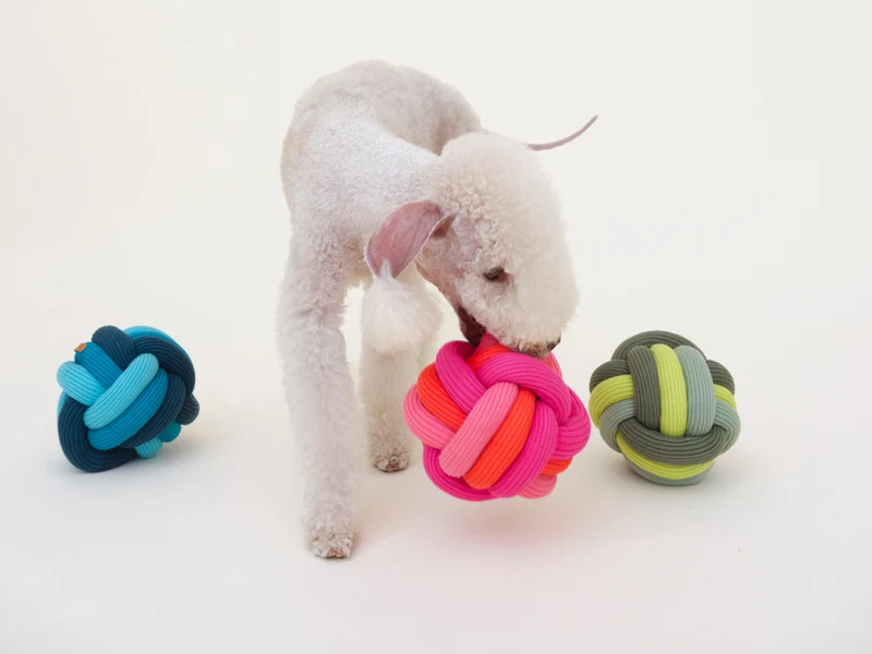 Twisty Ball Schnüffelball