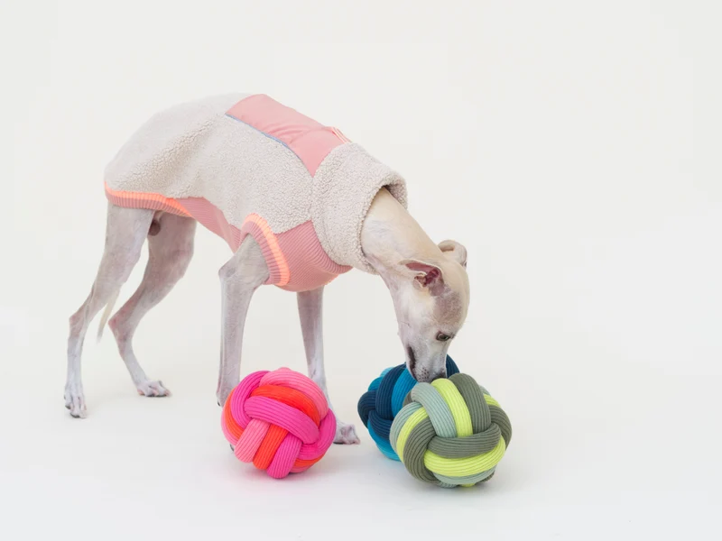 Twisty Ball Schnüffelball