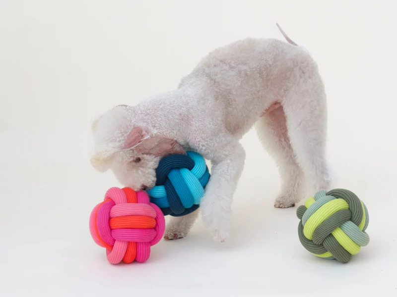 Twisty Ball Schnüffelball