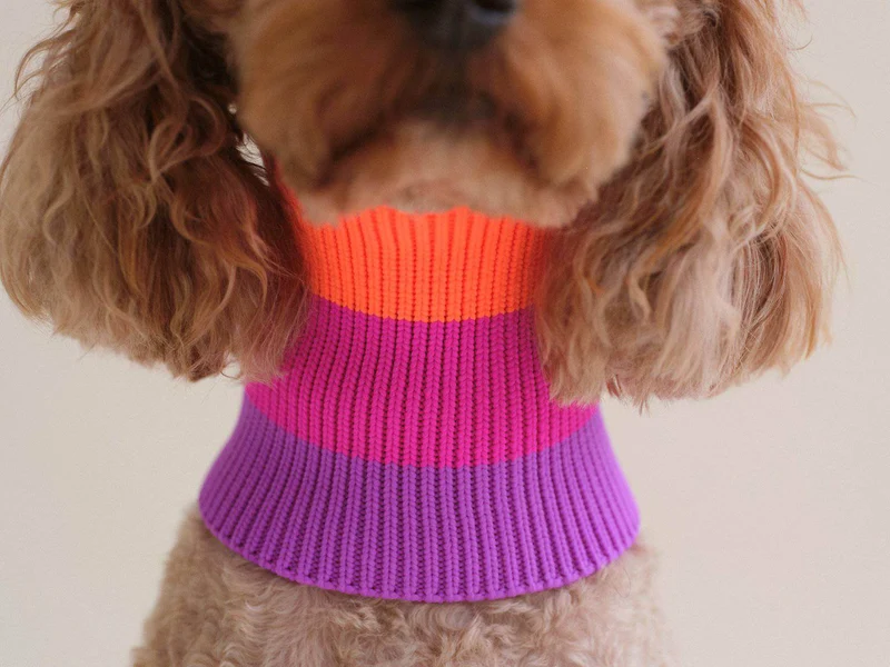 Glow Loop 2.0 Hundeschal