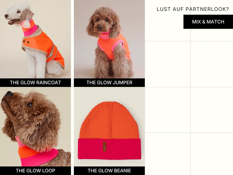 Glow Jumper 2.0 Hundepullover