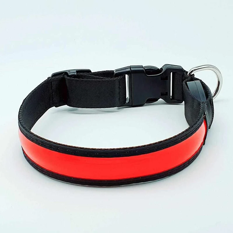 LED Hundehalsband, Stabiles Nylon mit USB Anschluß