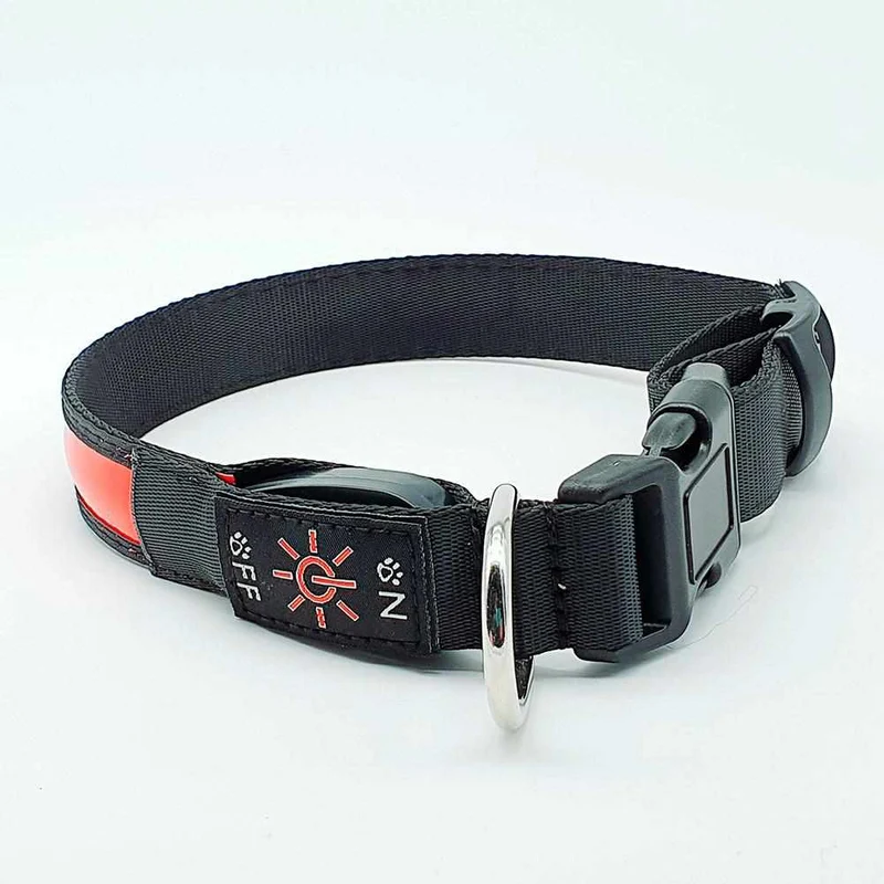 LED Hundehalsband, Stabiles Nylon mit USB Anschluß
