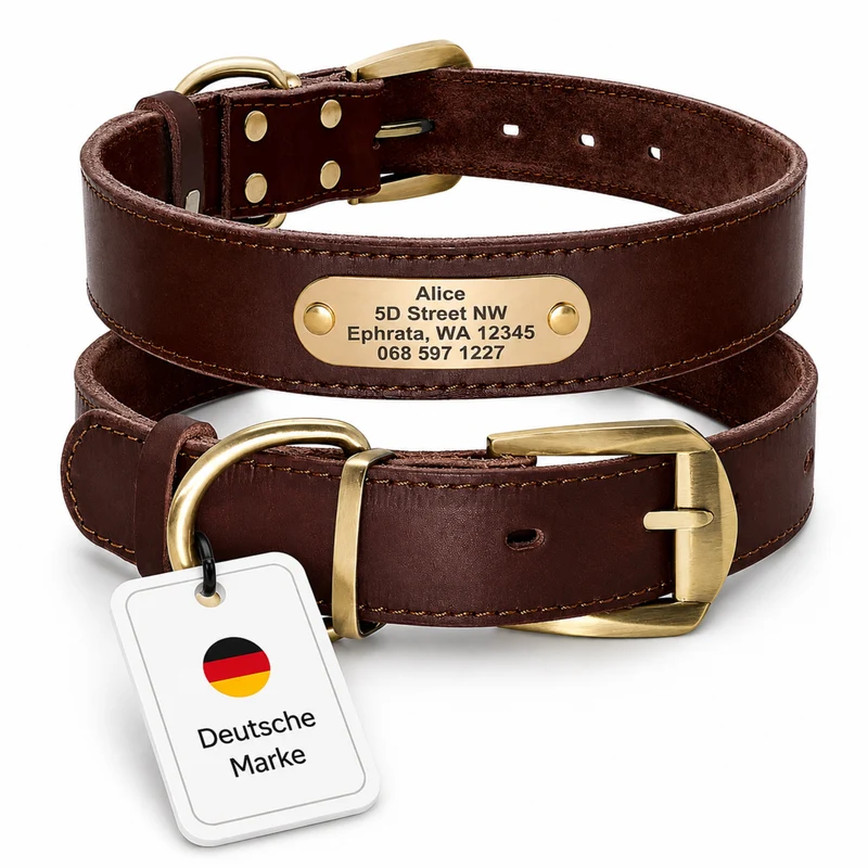 Edles Hundehalsband aus Rindsleder mit Gravur Name und Telefon