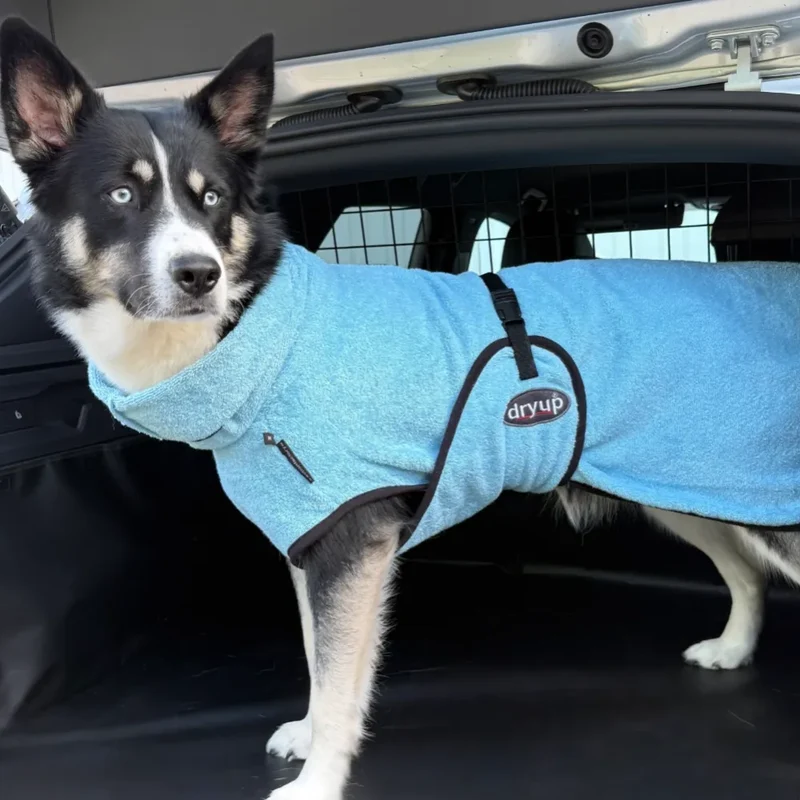 Hundebademantel Hellblau