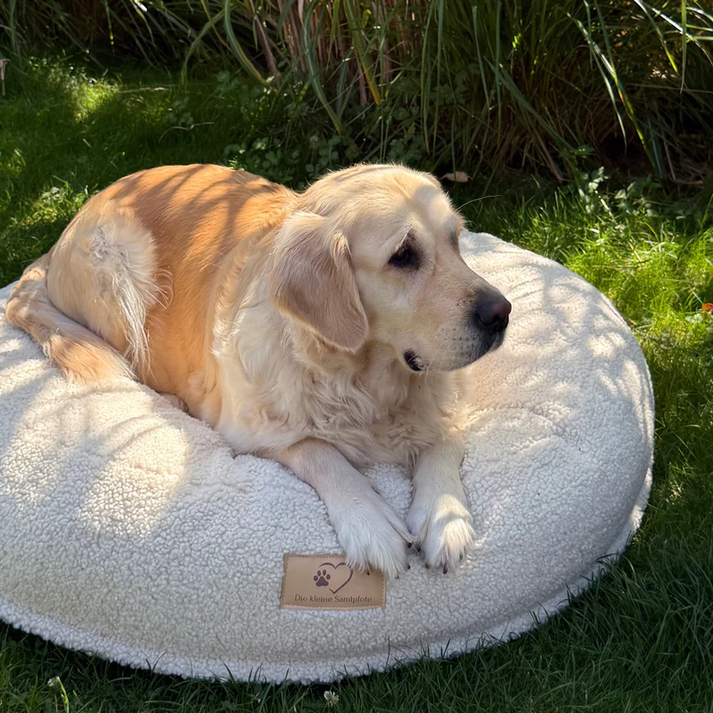 Samtpfote orthopädisches Hundekissen Donut Teddy
