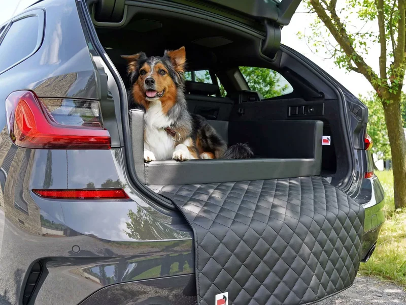 mypado Transportbox TRAVELMAT® Basic