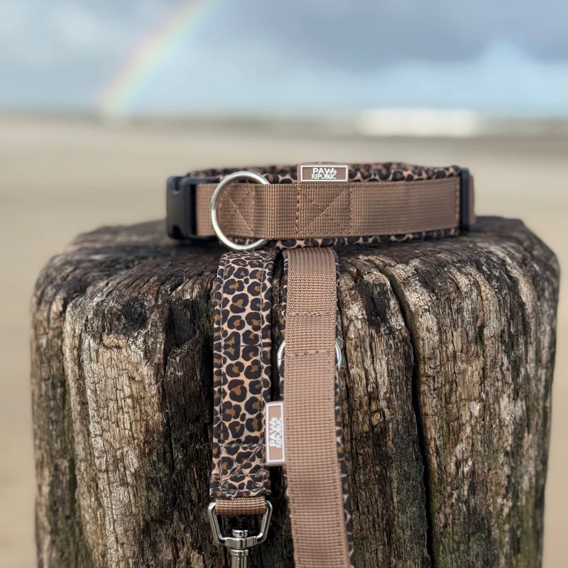 Hundehalsband & Leine Leo Love Marrakesh