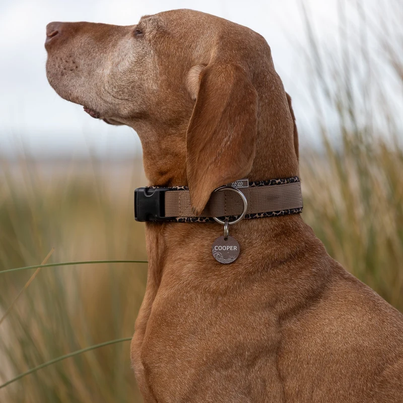 Hundehalsband & Leine Leo Love Marrakesh