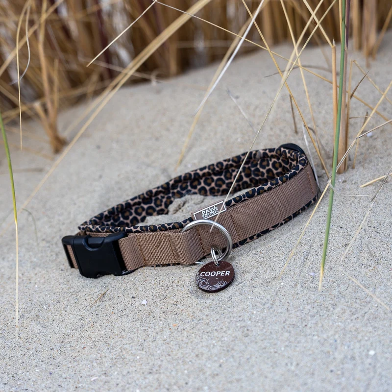 Hundehalsband & Leine Leo Love Marrakesh