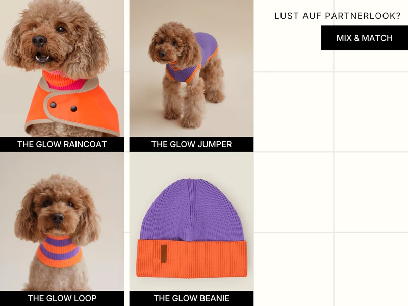 Glow Jumper 2.0 Hundepullover