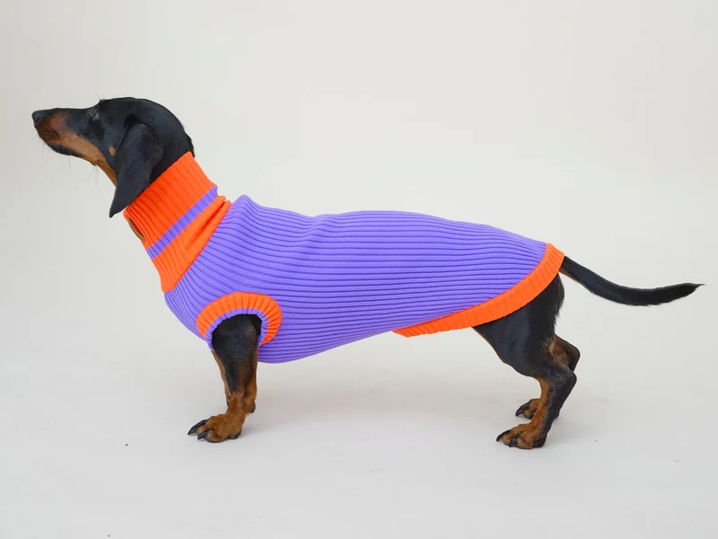 Glow Jumper 2.0 Hundepullover
