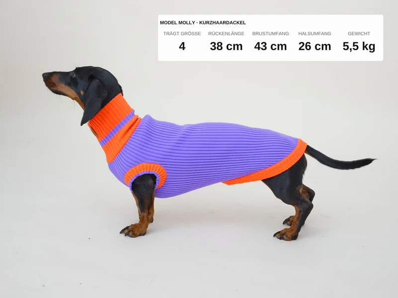 Glow Jumper 2.0 Hundepullover