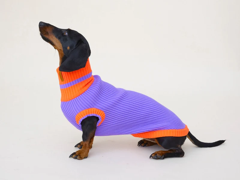 Glow Jumper 2.0 Hundepullover