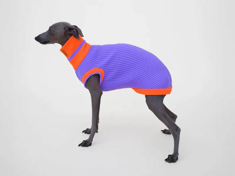 Glow Jumper 2.0 Hundepullover