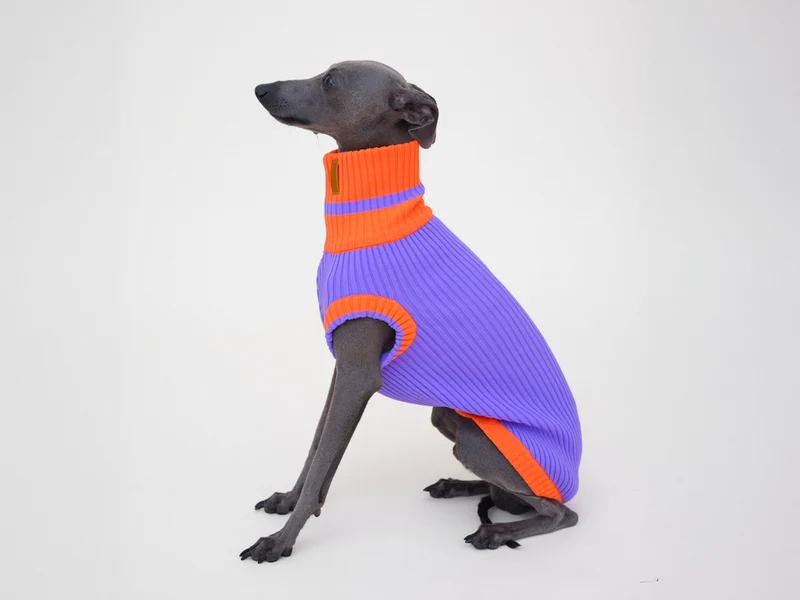 Glow Jumper 2.0 Hundepullover