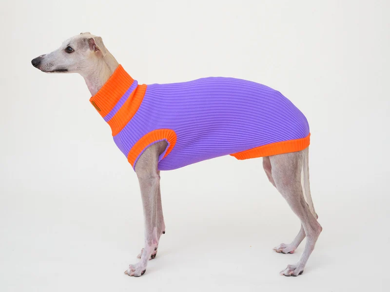 Glow Jumper 2.0 Hundepullover