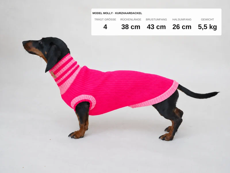 Glow Jumper 2.0 Hundepullover