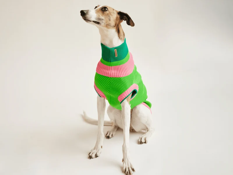 Glow Jumper 2.0 Hundepullover
