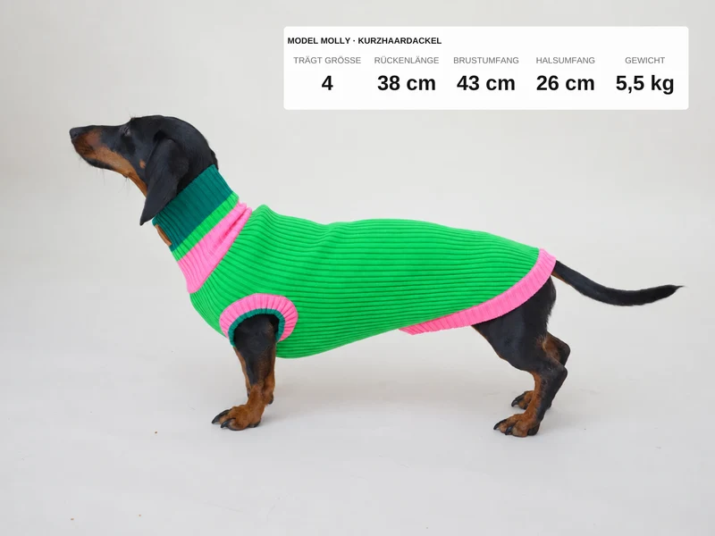 Glow Jumper 2.0 Hundepullover