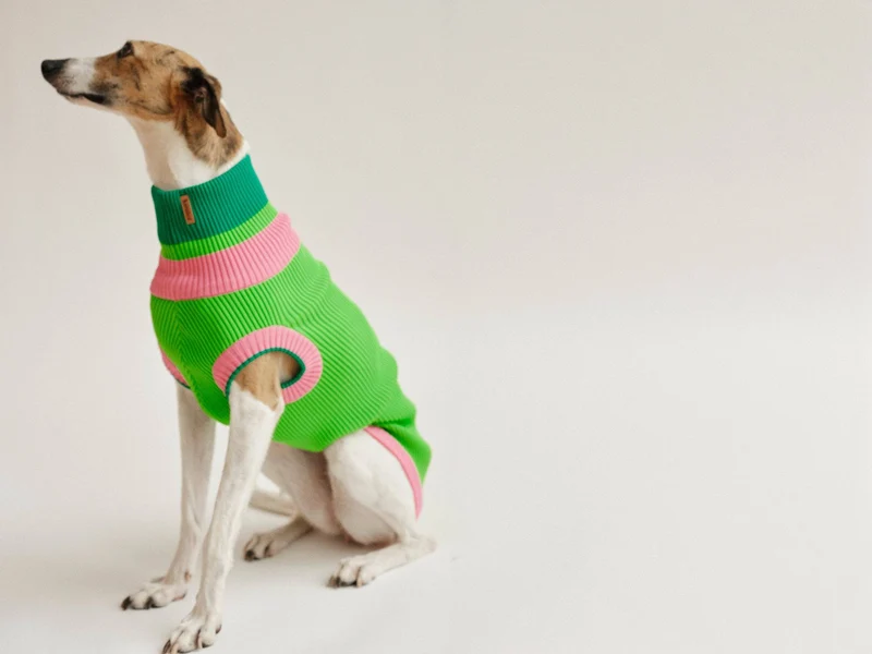 Glow Jumper 2.0 Hundepullover