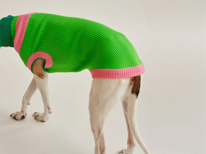 Glow Jumper 2.0 Hundepullover
