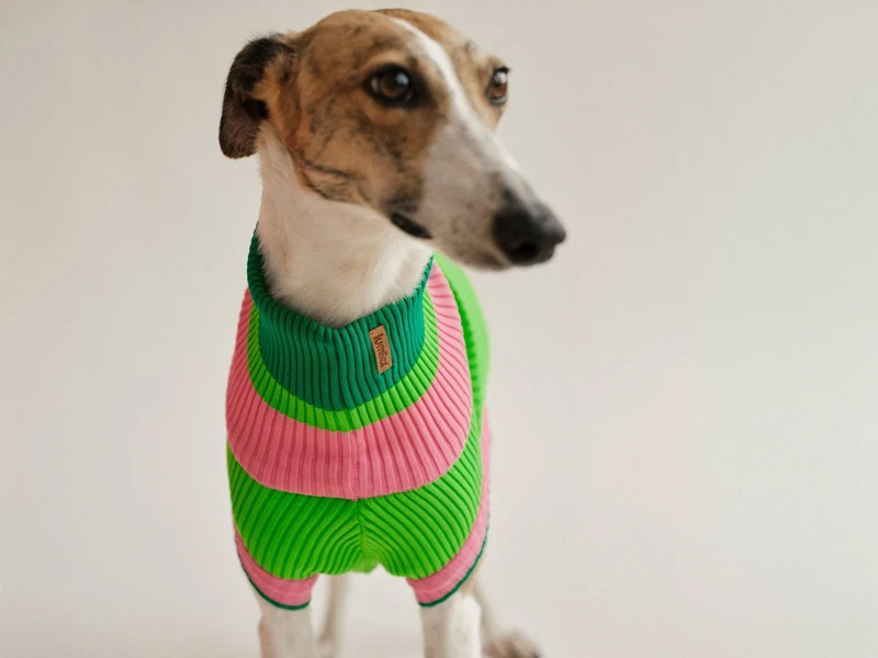Glow Jumper 2.0 Hundepullover