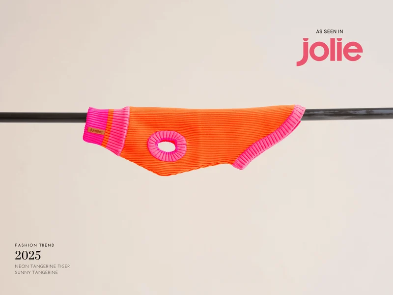 Glow Jumper 2.0 Hundepullover