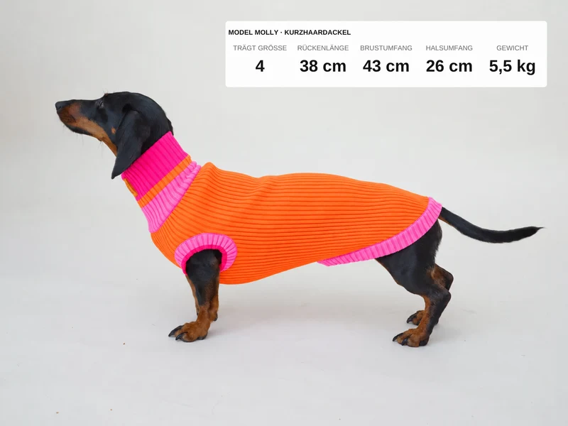 Glow Jumper 2.0 Hundepullover