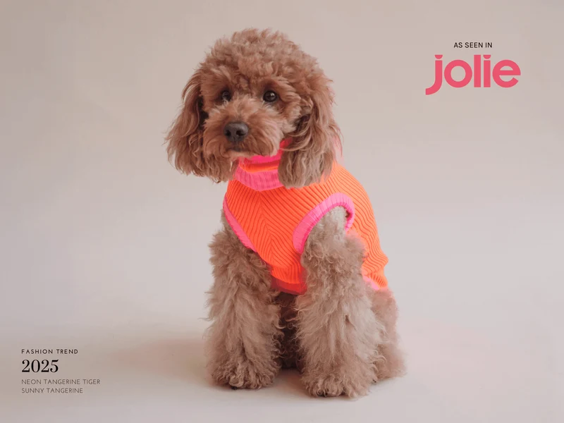 Glow Jumper 2.0 Hundepullover